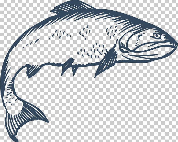 Freshwater Fish Euclidean PNG, Clipart, Animals, Aquarium Fish, Bend, Crooked Vector, Dolphin Free PNG Download