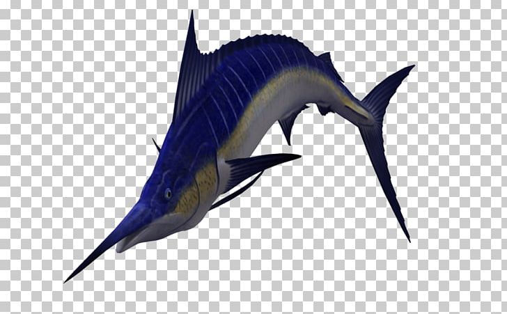 Sailfish Atlantic Blue Marlin PNG, Clipart, 3d Computer Graphics, Animals, Atlantic Blue Marlin, Billfish, Bony Fish Free PNG Download