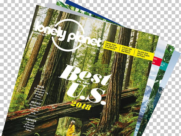 Sonoma County Regional Parks Guidebook Avenue Of The Giants Lonely Planet Travel PNG, Clipart, Advertising, Brand, California, Grass, Guidebook Free PNG Download