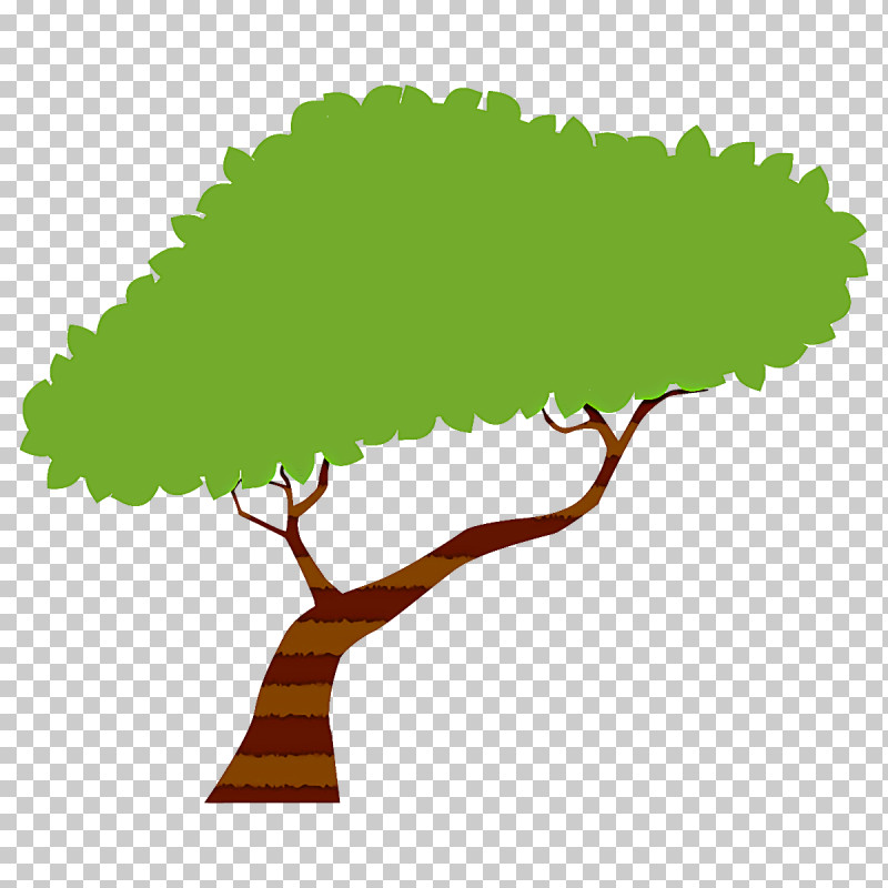 Leaf Green Tree Plant Woody Plant PNG, Clipart, Branch, Broadleaf Tree, Cartoon Tree, Elm, Green Free PNG Download