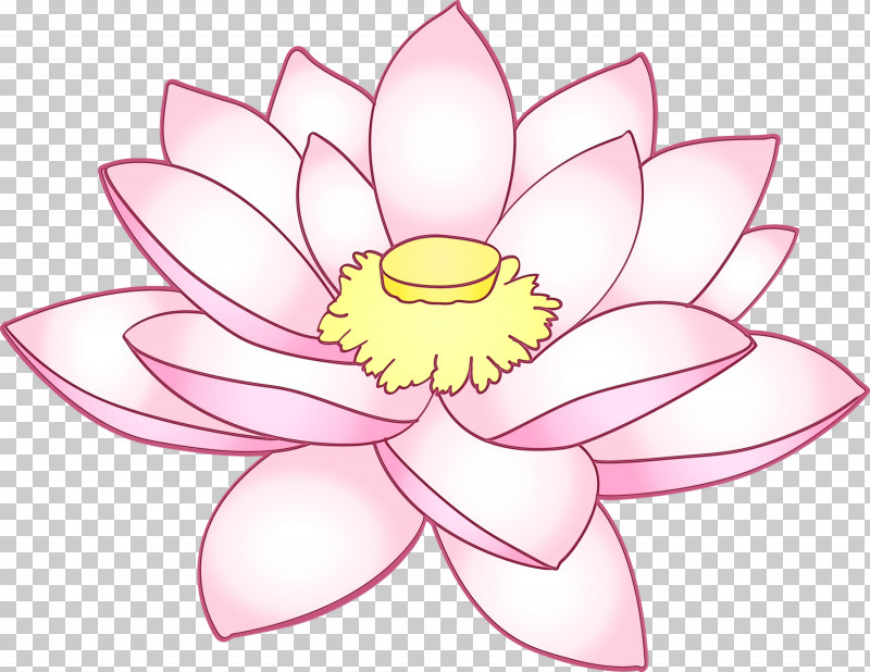 Lotus PNG, Clipart, Aquatic Plant, Flower, Lotus, Lotus Family, Paint Free PNG Download