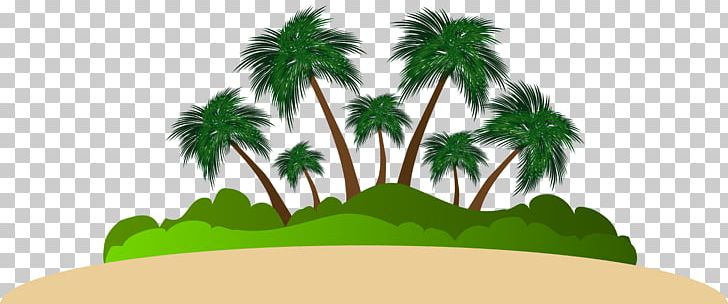 Arecaceae Logo Text Font Illustration PNG, Clipart, Area, Arecaceae, Arecales, Beach, Clipart Free PNG Download
