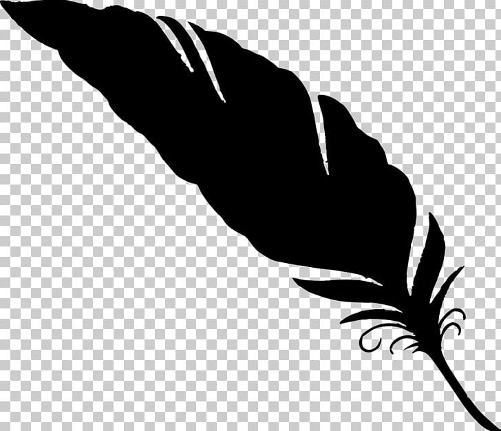 Feather Owl PNG, Clipart, Animals, Arm, Beak, Bird, Black Free PNG Download