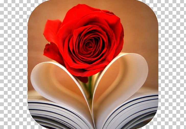 Heart Book Heart Book Rose Romance Novel PNG, Clipart, Boo, Bookcase, Book Folding, Desktop Wallpaper, Flower Free PNG Download