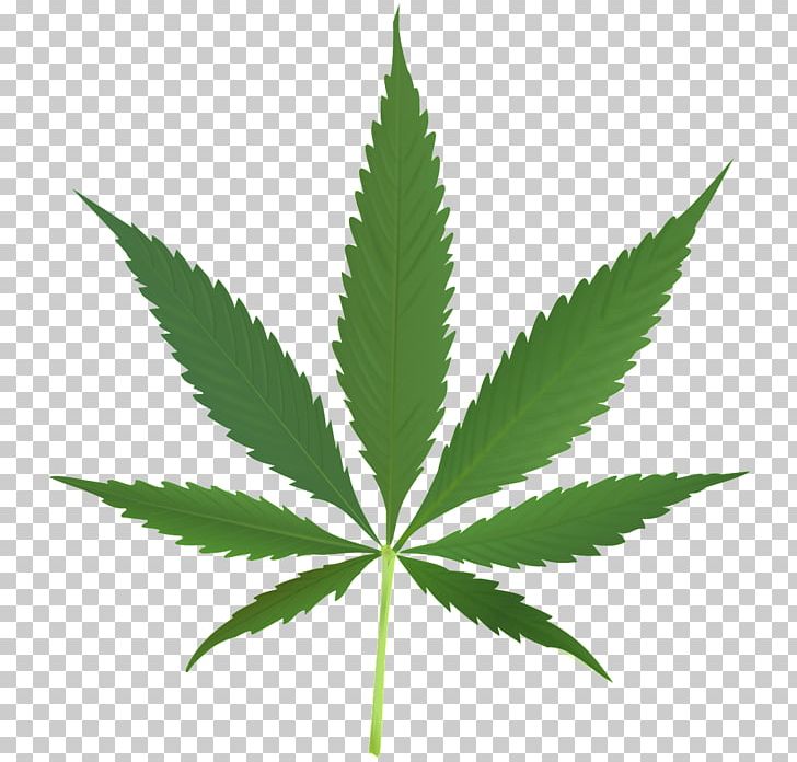 Cannabis Leaf Legalization Bong PNG, Clipart, 420 Day, Bong, Cannabinoid, Cannabis, Cannabis Sativa Free PNG Download