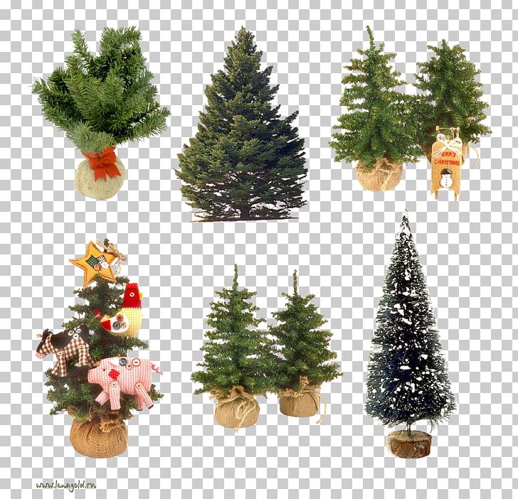 Christmas Tree Christmas Ornament New Year Tree Spruce PNG, Clipart, Christmas, Christmas Decoration, Christmas Ornament, Christmas Tree, Conifer Free PNG Download
