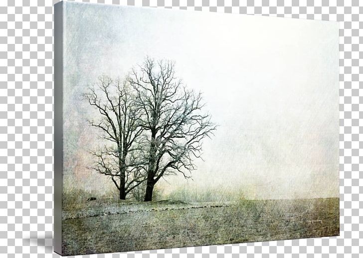 Painting Frames Winter Sky Plc Branching PNG, Clipart, Art, Branch, Branching, Fog, Grass Free PNG Download