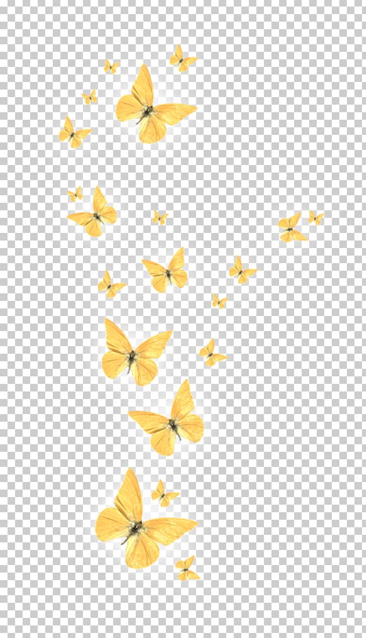 Portable Network Graphics Butterfly Desktop PNG, Clipart, Angle, Branch, Butterfly, Color, Desktop Wallpaper Free PNG Download