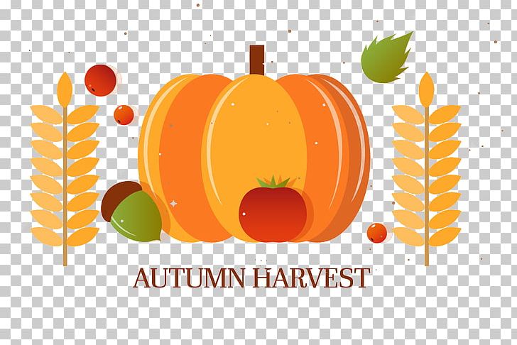 Pumpkin Autumn Harvest PNG, Clipart, Balloon Cartoon, Cartoon, Cartoon Character, Cartoon Eyes, Comics Free PNG Download