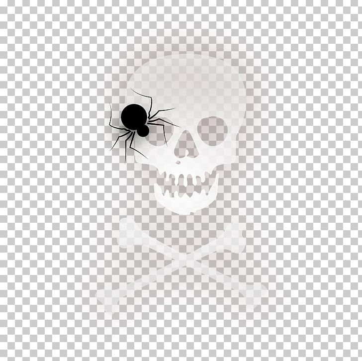 Spider Halloween PNG, Clipart, Black, Black And White, Bone, Circle, Computer Wallpaper Free PNG Download