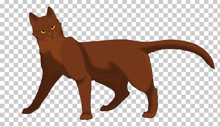 Cat Warriors Erin Hunter Moonrise The Darkest Hour PNG, Clipart,  Free PNG Download