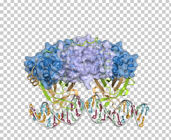 Department Of Molecular Biology And Genetics PNG, Clipart, Active Site, Biochemistry, Biology, Cut Flowers, Danish Defence Free PNG Download
