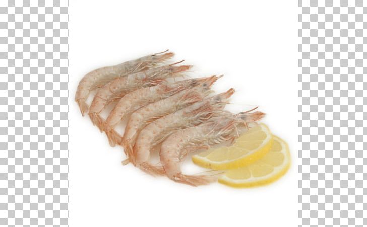Fish Slice Shellfish Shrimp Norway Lobster Cooking PNG, Clipart, American Lobster, Animal Fat, Animals, Animal Source Foods, Cooking Free PNG Download