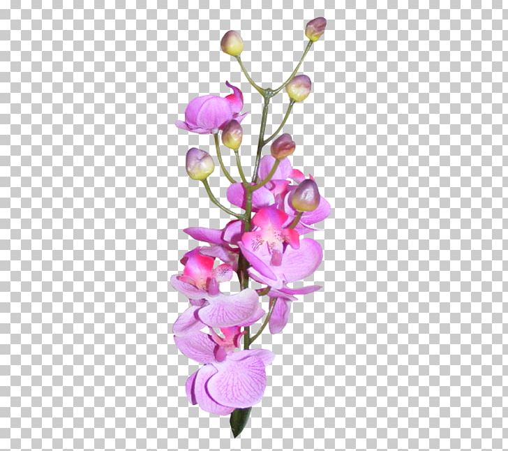 Flower Encapsulated PostScript PNG, Clipart, Blossom, Branch, Cut Flowers, Download, Encapsulated Postscript Free PNG Download
