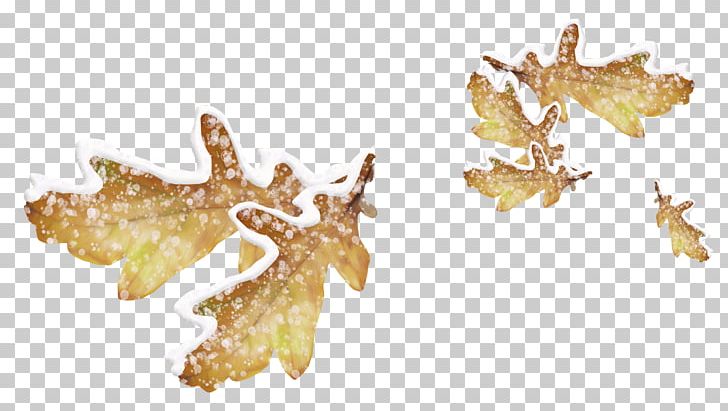 Leaf Snow Icon PNG, Clipart, Autumn Leaves, Banana Leaves, Blog, Brown, Brown Leaves Free PNG Download