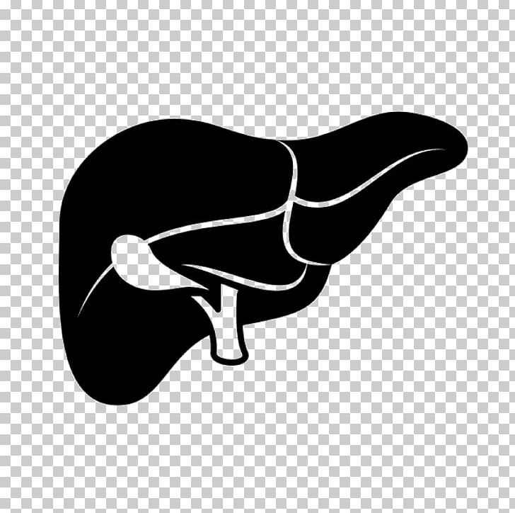 Liver Failure Liver Function Tests Computer Icons Cirrhosis PNG, Clipart, Beak, Bird, Black, Black And White, Blood Free PNG Download