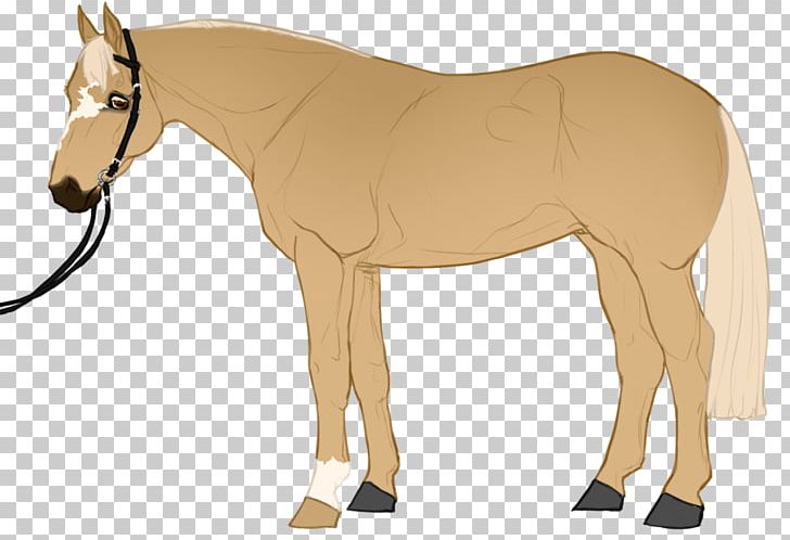 Mule Rein Mustang Horse Harnesses Bridle PNG, Clipart, Animal Figure, Bridle, Colt, Halter, Horse Free PNG Download