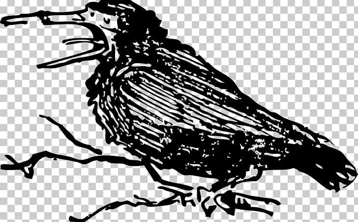Bird Crow Beak PNG, Clipart, Animals, Artwork, Beak, Bird, Black And White Free PNG Download