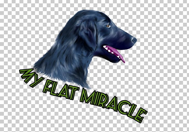 Flat-Coated Retriever Labrador Retriever Puppy Dog Breed PNG, Clipart, Animals, Breed, Cacib, Carnivoran, Crossbreed Free PNG Download