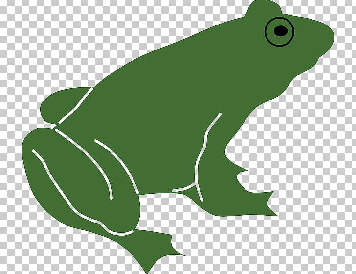 Frog Lithobates Clamitans Silhouette PNG, Clipart, Amphibian, Animals, Australian Green Tree Frog, Cartoon, Drawing Free PNG Download