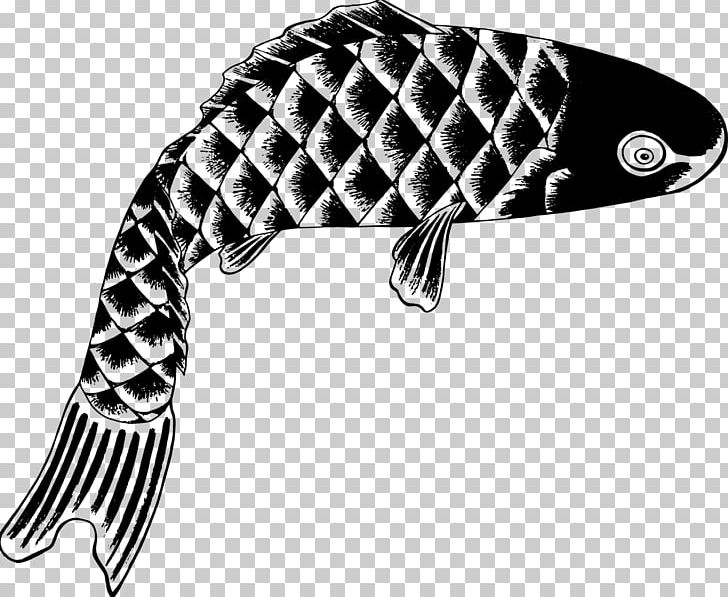 Koi Pufferfish PNG, Clipart, Animals, Black And White, Carp, Color, Common Carp Free PNG Download