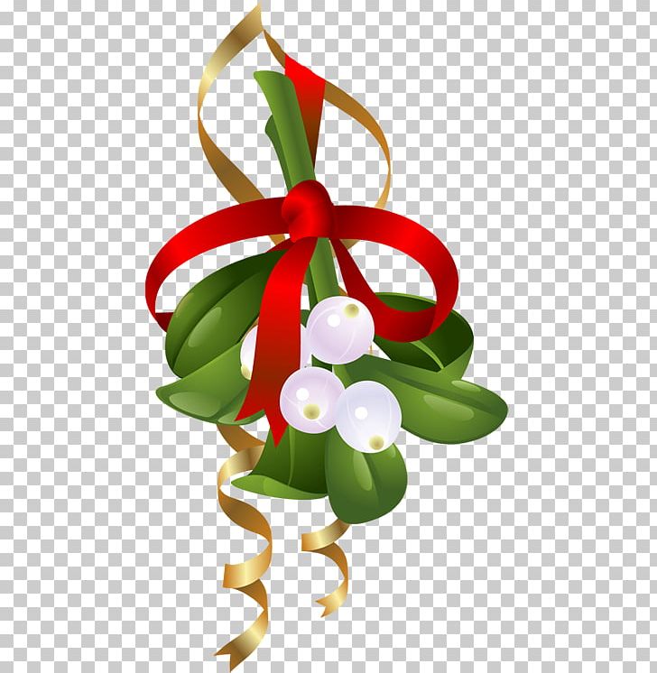 Mistletoe PNG, Clipart, Cartoon, Christmas, Christmas Decoration, Christmas Ornament, Christmas Tree Free PNG Download