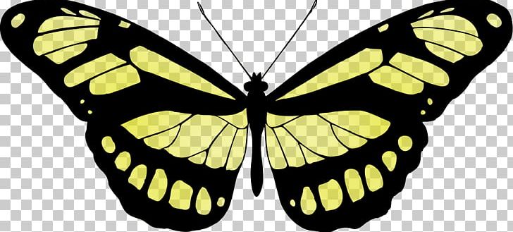 Monarch Butterfly Papilio Ulysses Printmaking PNG, Clipart, Art, Arthropod, Black And White, Blue, Brush Footed Butterfly Free PNG Download