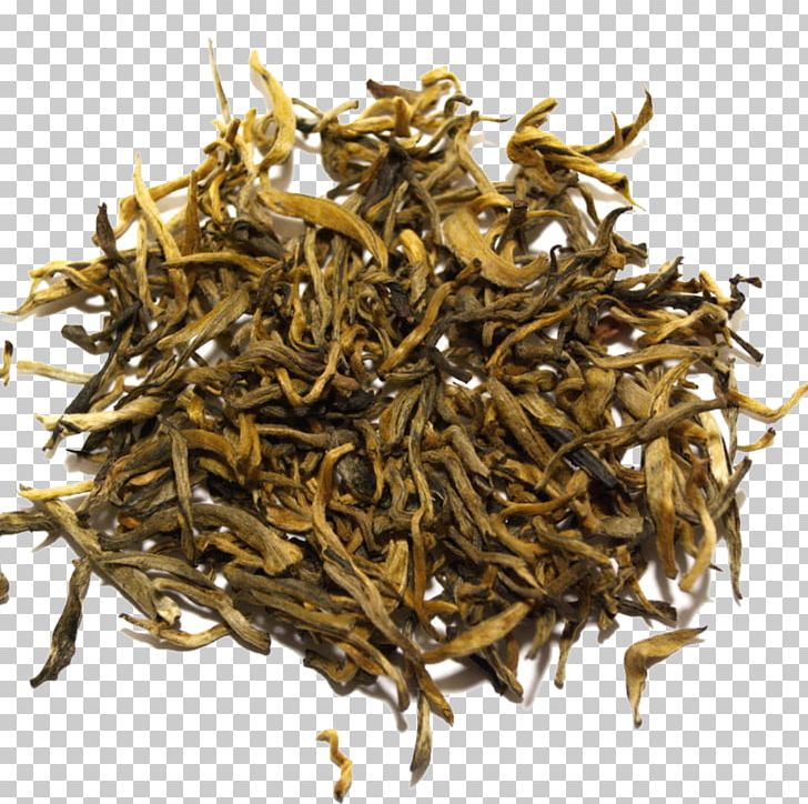 Nilgiri Tea White Tea Dianhong Oolong PNG, Clipart, Assam Tea, Baihao Yinzhen, Bai Mudan, Bancha, Biluochun Free PNG Download