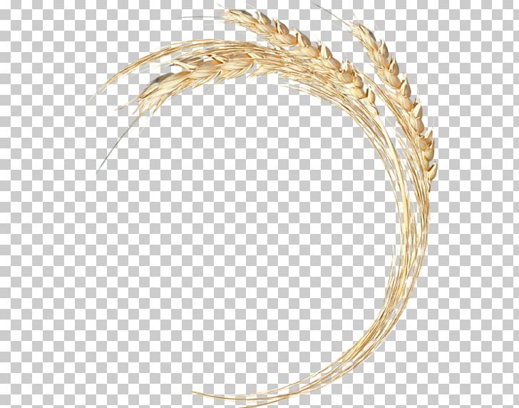 Wheat Ear PNG, Clipart, Aartje, Basak, Body Jewelry, Cansu, Commodity Free PNG Download