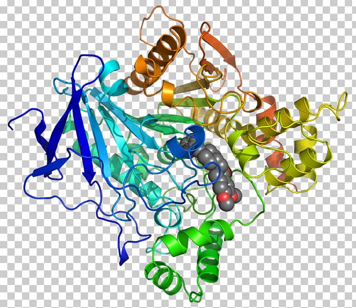 Acetylcholinesterase Protein Structure Donepezil Biochemistry PNG, Clipart, Acetylcholinesterase, Acetylcholinesterase Inhibitor, Alzheimers Disease, Amino Acid, Area Free PNG Download