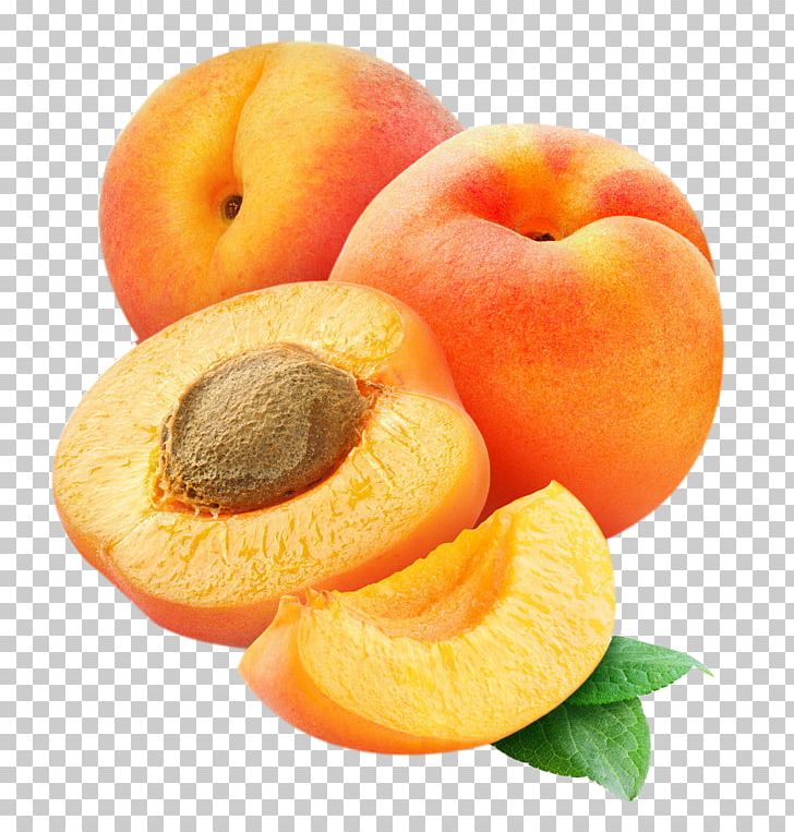 Apricot Marmalade Fruit PNG, Clipart, Apricot, Apricot Blossom Vector, Apricot Blossom Yellow, Apricot Flower, Apricots Free PNG Download