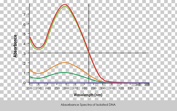 DNA Extraction Gcc Library Genome Genomic DNA Database PNG, Clipart, Angle, Area, Bacteria, Cell, Database Free PNG Download