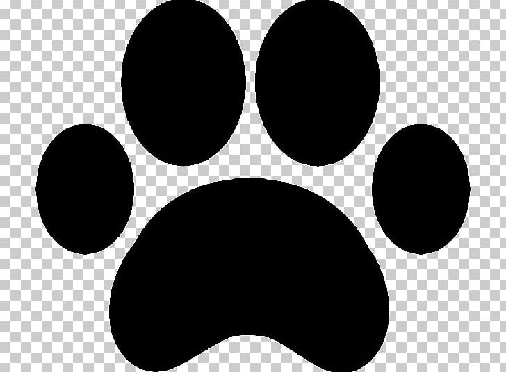 Dog Paw Cat Animal Track Pet PNG, Clipart, Animal, Animals, Animal Track, Birthday, Black Free PNG Download