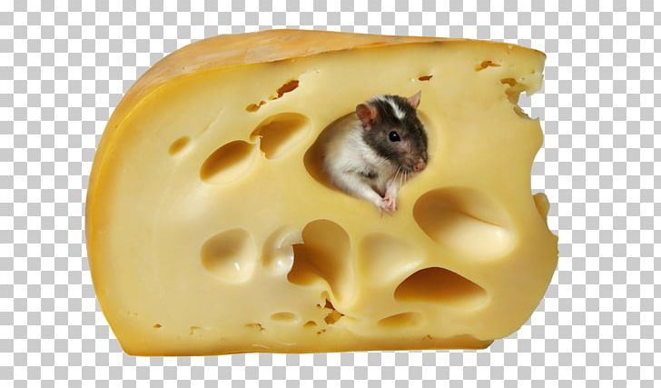 Hot Dog Macaroni And Cheese Cheese Sandwich Cheesecake Cheeseburger PNG, Clipart, Animals, Cartoon, Cartoon Animals, Cheese, Cheeseburger Free PNG Download