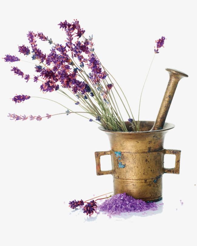 Lavender Flower Material PNG, Clipart, Flower Clipart, Flowers, Free, Free Material, Lavender Free PNG Download
