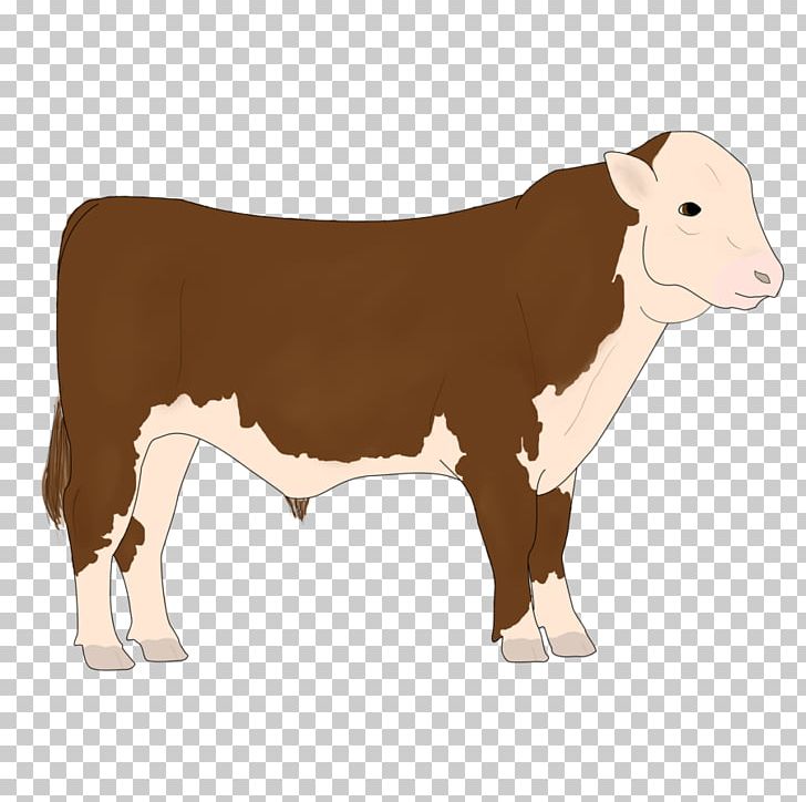 Dairy Cattle Calf Ox Bull PNG, Clipart, Animal, Animals, Bull, Calf, Cartoon Free PNG Download