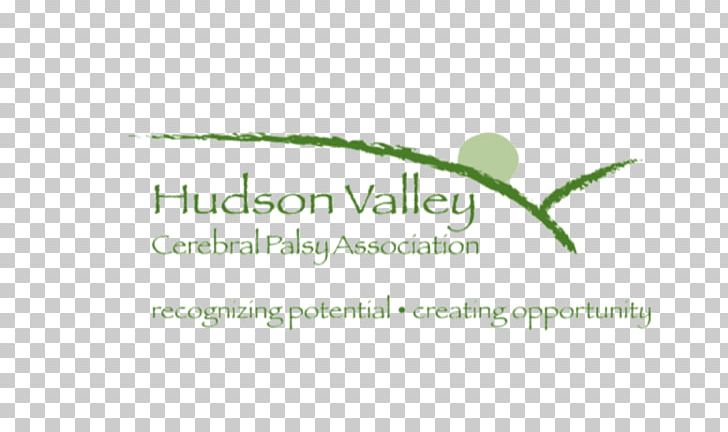 Hudson Valley CPA's Pllc Cerebral Palsy Association Organization Non-profit Organisation PNG, Clipart,  Free PNG Download