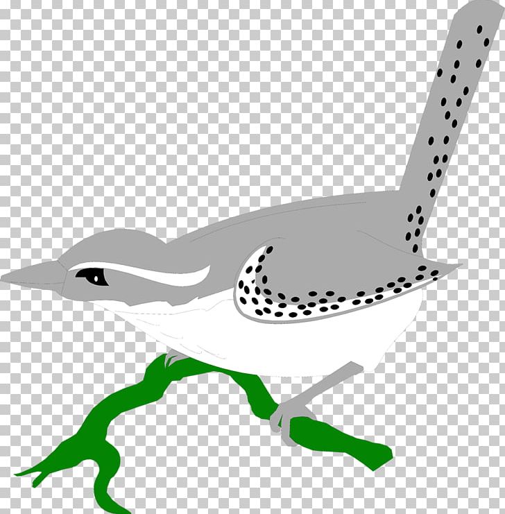 Wren Bird Feather Wing PNG, Clipart, Amphibian, Animal, Animals, Beak, Bird Free PNG Download