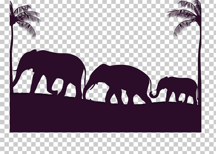 African Elephant Indian Elephant Elephant Families PNG, Clipart, Animal, Animals, Artworks, Baby Elephant, Coconut Tree Free PNG Download