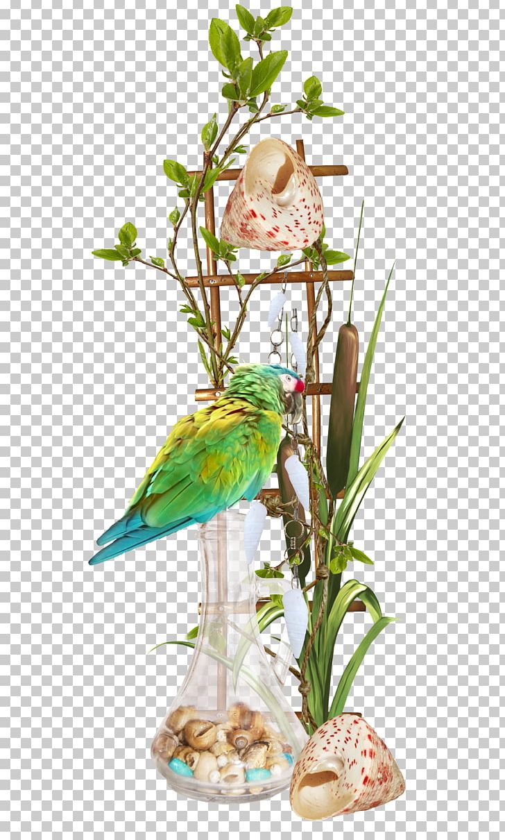 Floral Design U6d77u6d0b PNG, Clipart, Adobe Illustrator, Bird, Bird Cage, Birds, Cut Flowers Free PNG Download