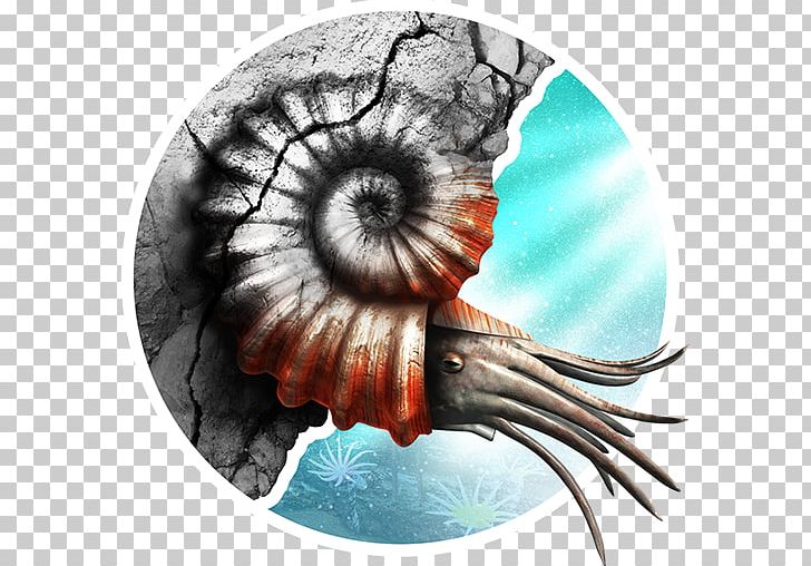 Invertebrate Nautiluses Eye PNG, Clipart, App, Czech, Developer, Eye, Geology Free PNG Download