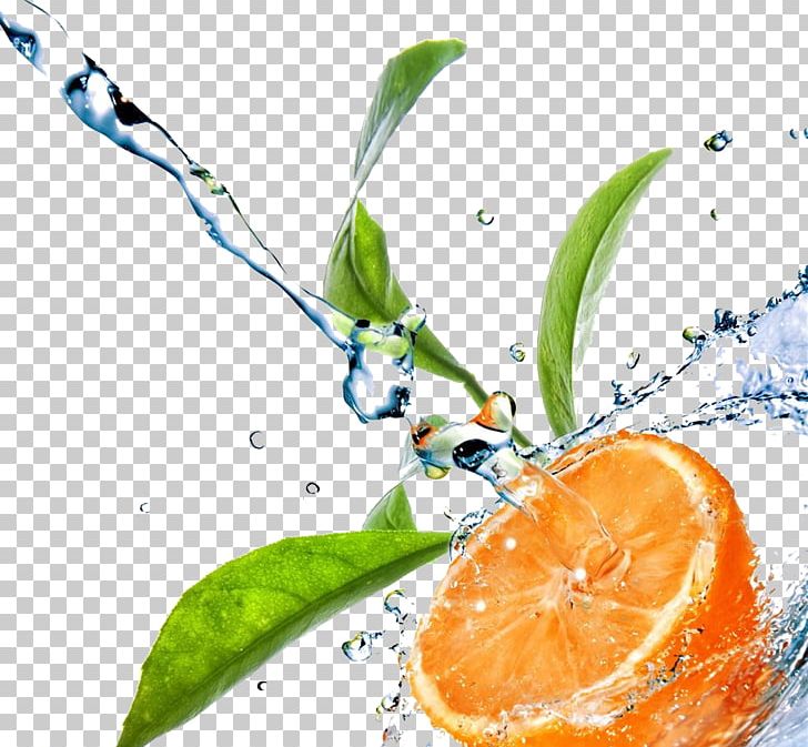 Stock Photography Leaf Drop Water Green PNG, Clipart, Citrus, Drop, Food, Fotosearch, Fruit Free PNG Download