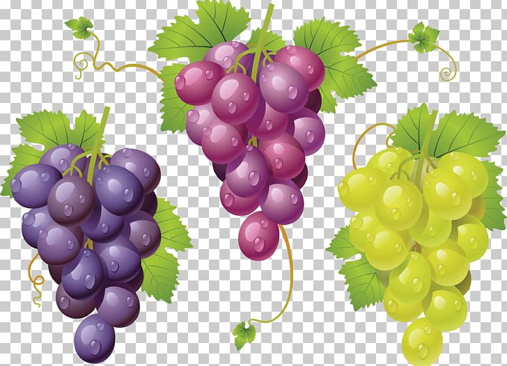 The Grape Cure PNG, Clipart, Better, Cleaneating, Food, Fruit, Fruits Free PNG Download