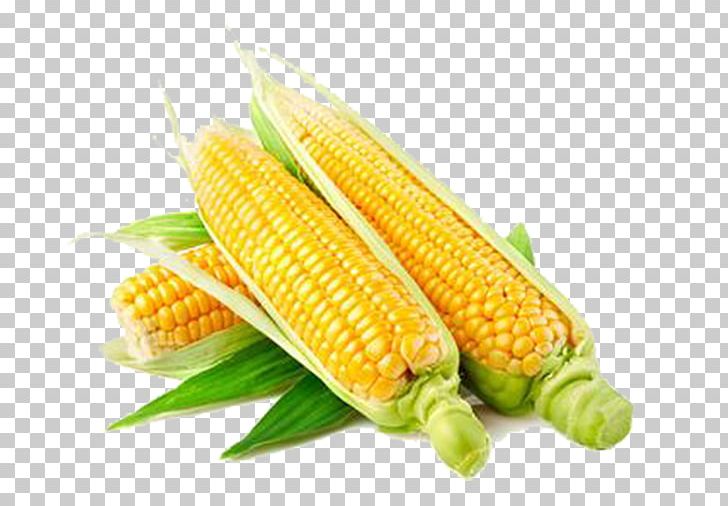 Popcorn Maize Seed Corn Kernel Field Corn PNG, Clipart, Cartoon Corn, Cereal, Commodity, Corn, Corn Field Free PNG Download