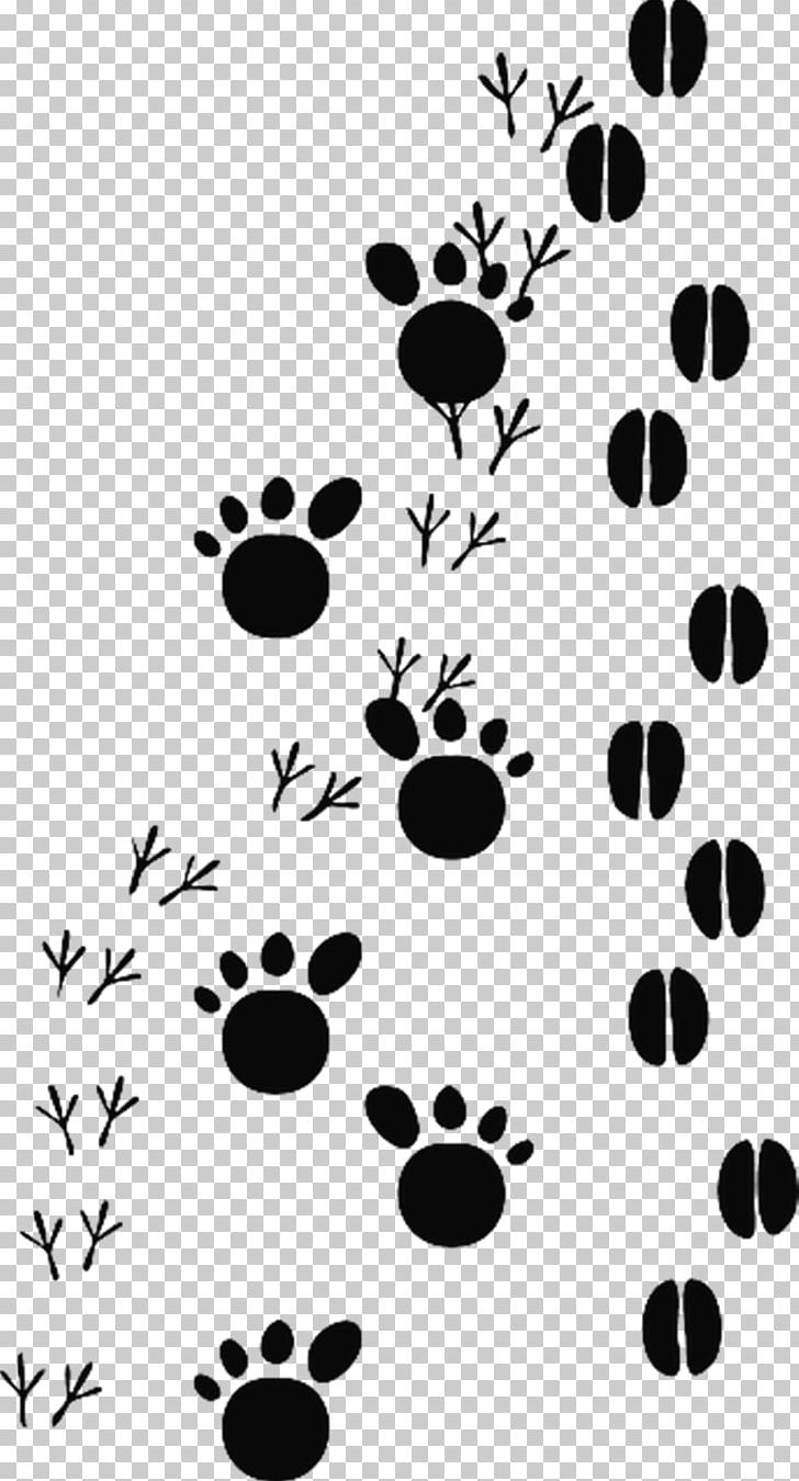 Animal Track Footprint PNG, Clipart, Animal, Animals, Animal Track, Art, Black Free PNG Download