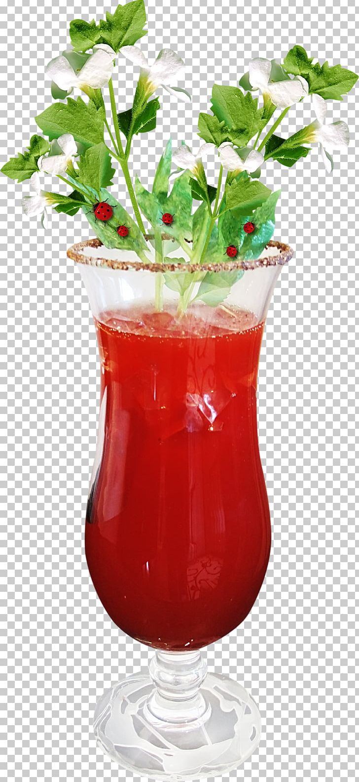 Cocktail Garnish Tomato Juice Bloody Mary Sea Breeze PNG, Clipart, Bloody Mary, Cocktail, Cocktail, Fruit Nut, Health Shake Free PNG Download