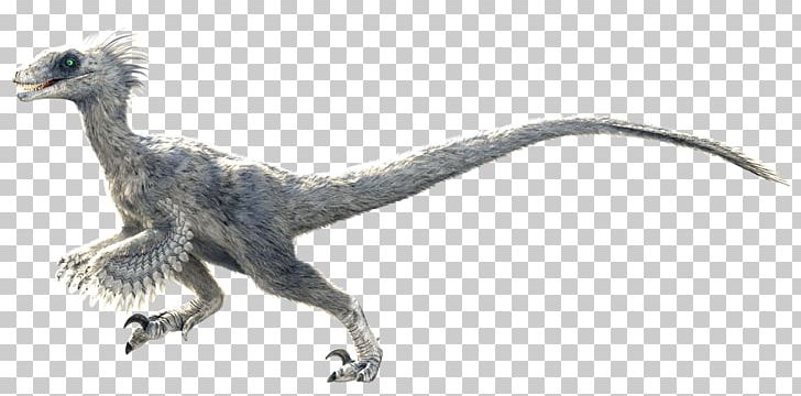 Primal Carnage Velociraptor Feather Dinosaur Diablo III PNG, Clipart, Animal Figure, Animals, Bearded Dragon, Blizzard Entertainment, Diablo Free PNG Download
