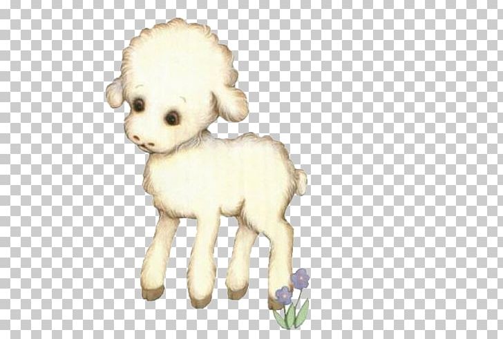 Sheep Dog Breed PNG, Clipart, Carnivoran, Cartoon, Companion Dog, Cute Animal, Cuteness Free PNG Download