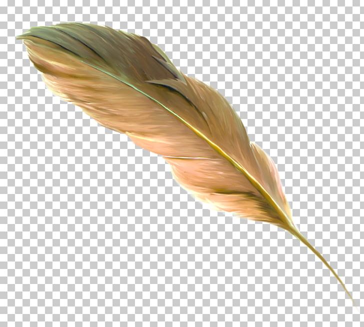 The Floating Feather Brown PNG, Clipart, Animals, Banco De Imagens, Beautiful, Beautiful Feathers, Brown Free PNG Download