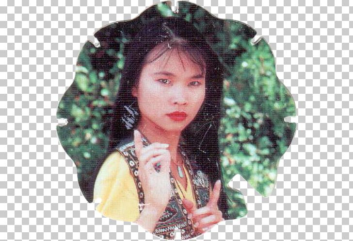 Thuy Trang Trini Kwan Mighty Morphin Power Rangers Actor 14 December PNG, Clipart, 14 December, 2001, Actor, Austin St John, Black Hair Free PNG Download